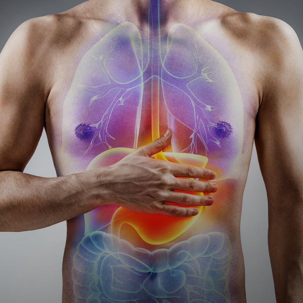 Best Supplements for Gut Health: How Colostrum Compares