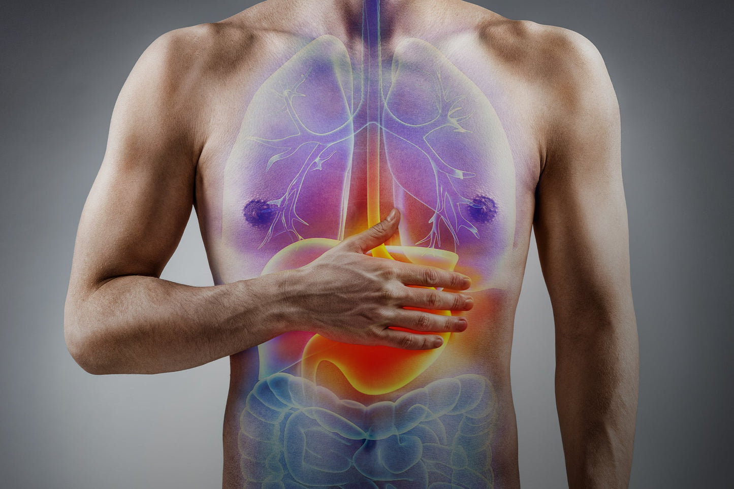 Best Supplements for Gut Health: How Colostrum Compares